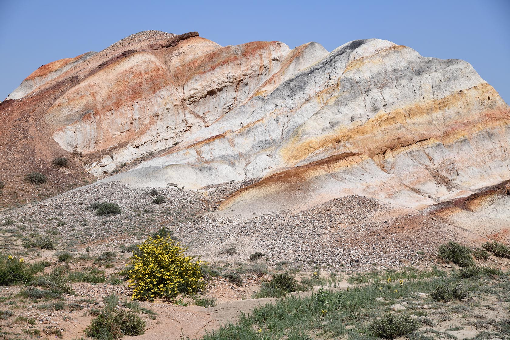Мадыген, image of landscape/habitat.