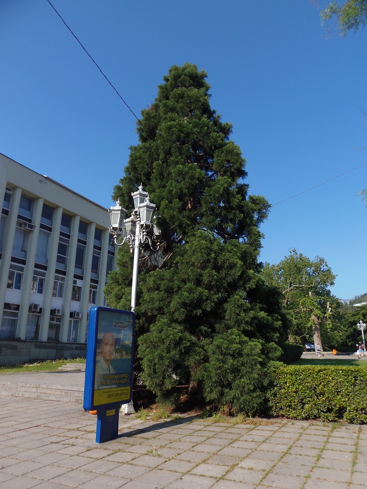 Ялта и окрестности, image of landscape/habitat.