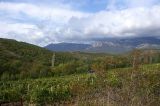 Image of landscape