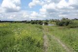 Image of landscape