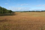Image of landscape