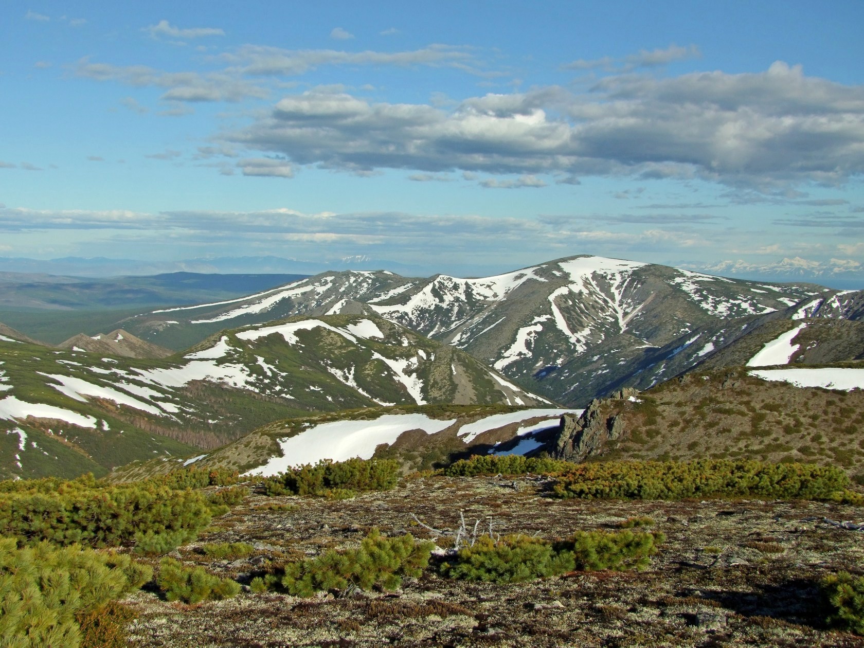 Водораздел Дукчи и Омчика, image of landscape/habitat.