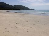 Cape Tribulation, image of landscape/habitat.