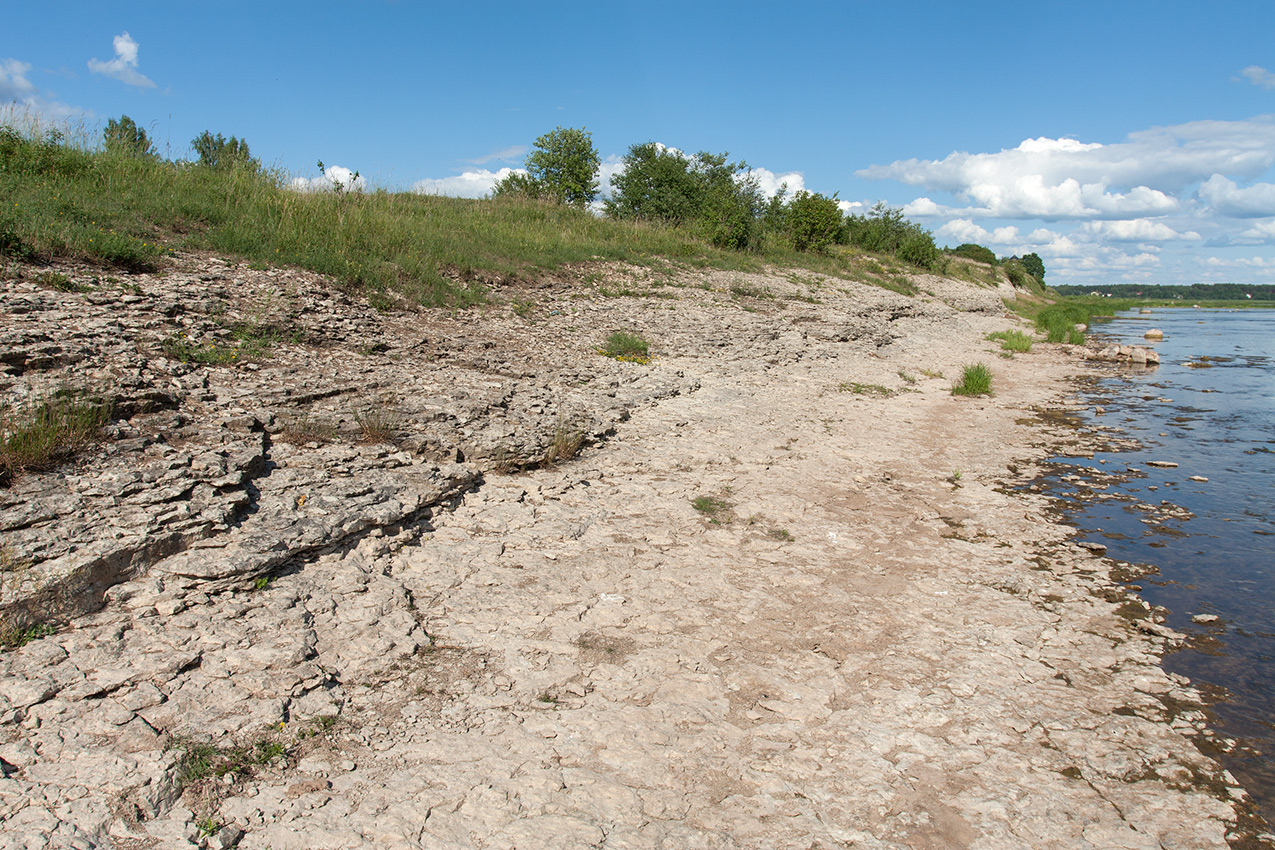 Выбуты, image of landscape/habitat.
