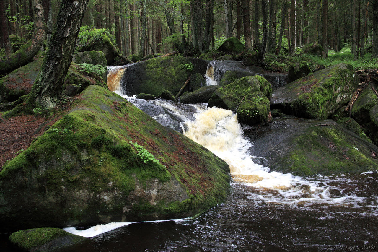 Vyšší Brod a Opatská stezka, image of landscape/habitat.