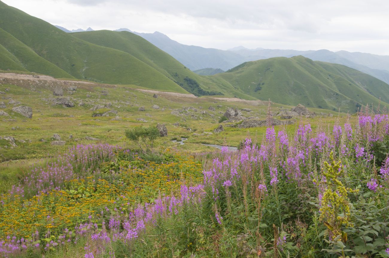 Долина реки Вулелаури, image of landscape/habitat.