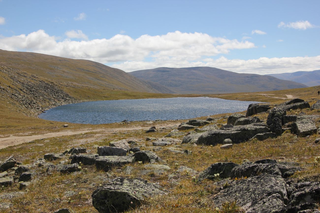 Перевал Тёплый Ключ, image of landscape/habitat.