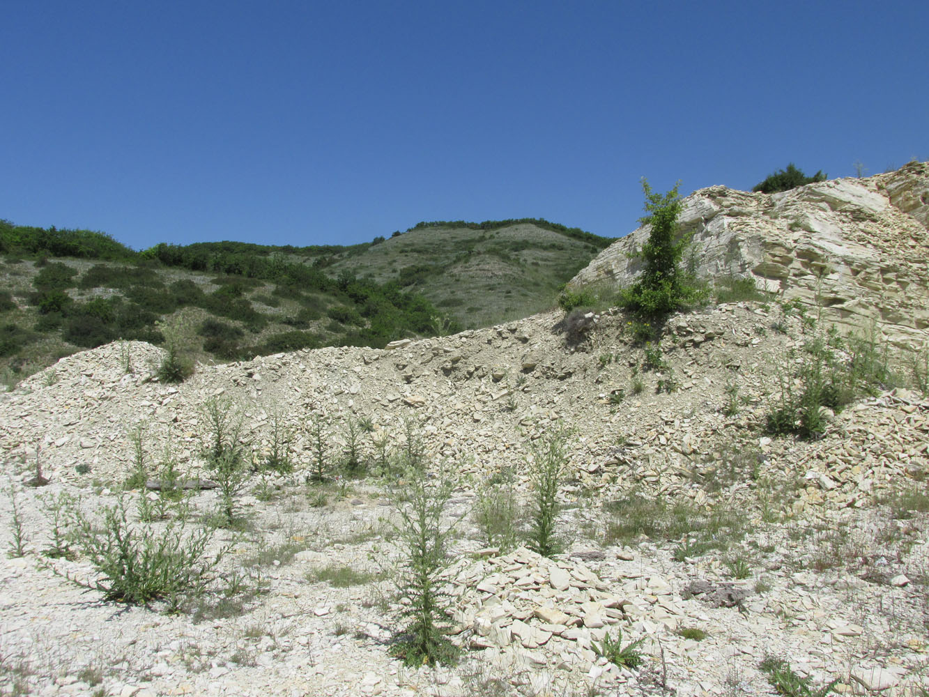 Окрестности села Губден, image of landscape/habitat.