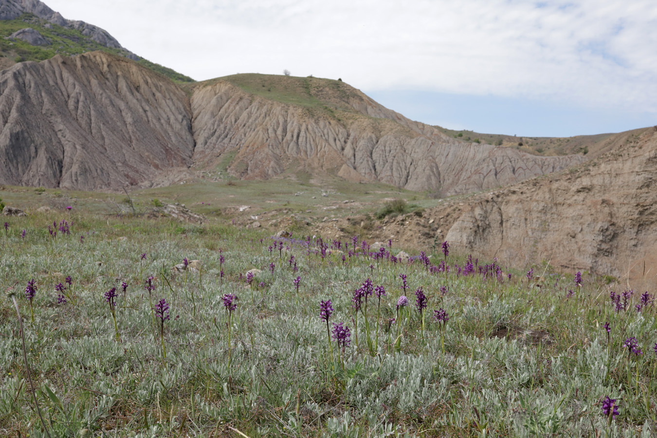 Лисья бухта, image of landscape/habitat.