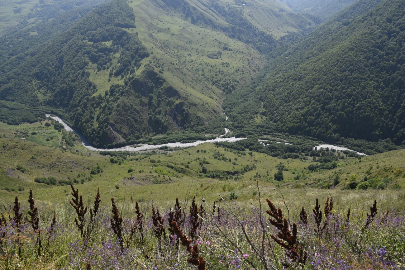 Устье Хашелдойакх, изображение ландшафта.