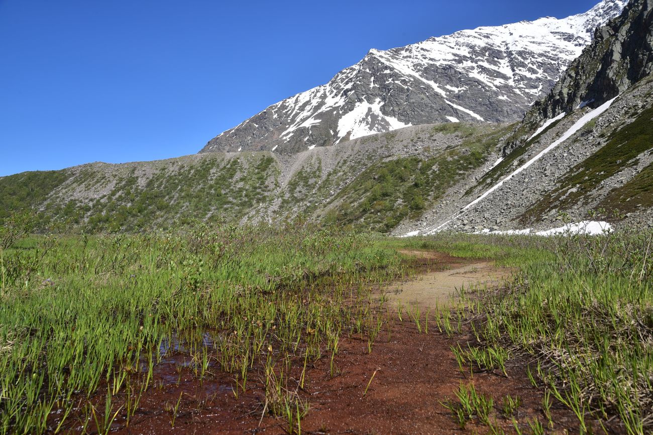 Окрестности озера Донгуз-Орун, изображение ландшафта.