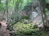 Image of landscape
