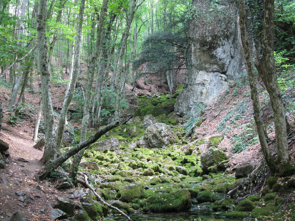 Большой каньон Крыма, image of landscape/habitat.