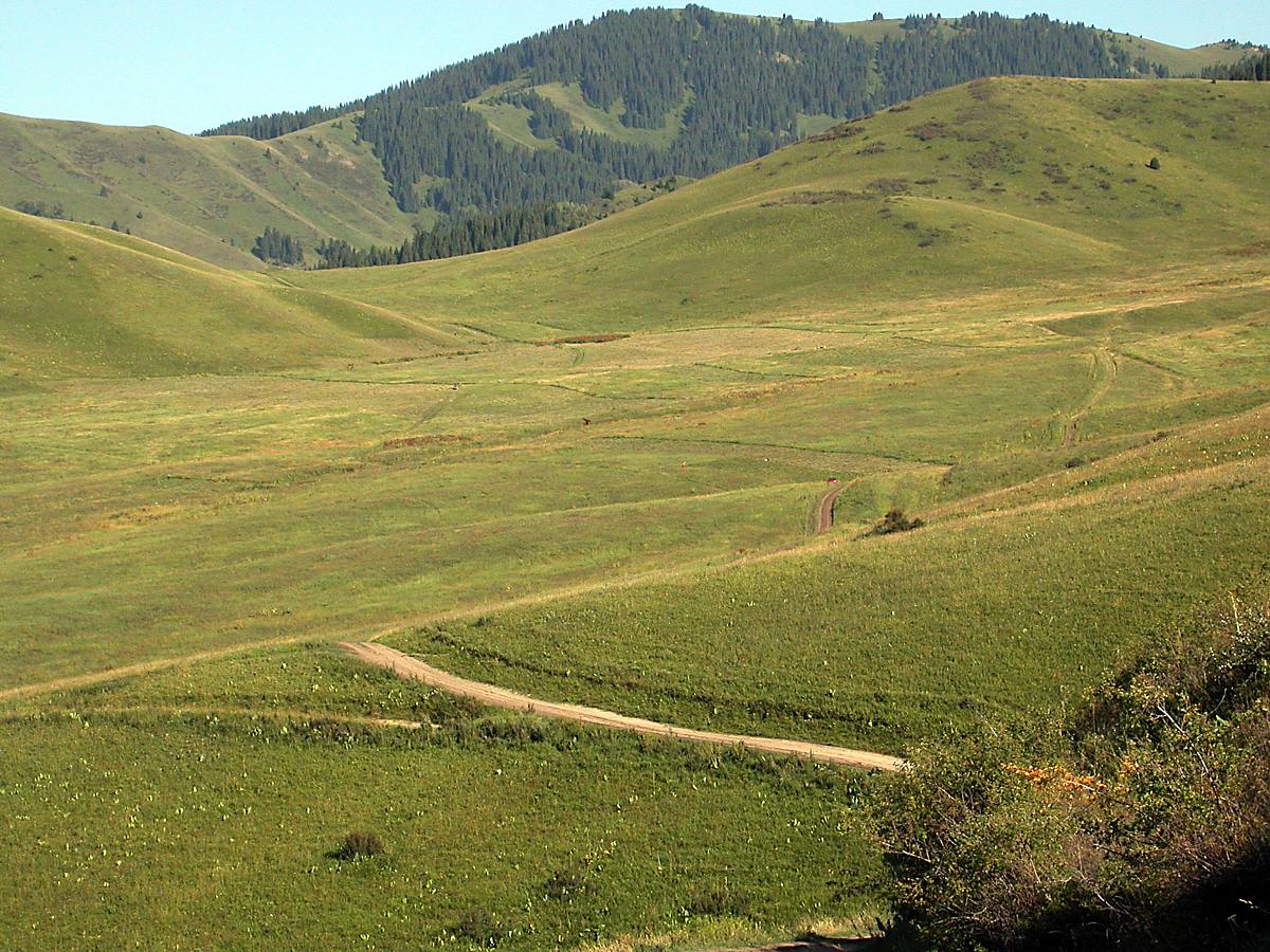 Туюк, image of landscape/habitat.