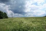 Image of landscape