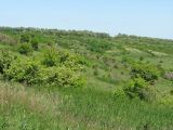 Image of landscape