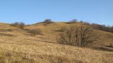 Урочище Солдатский Бугор, image of landscape/habitat.