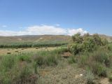 Image of landscape