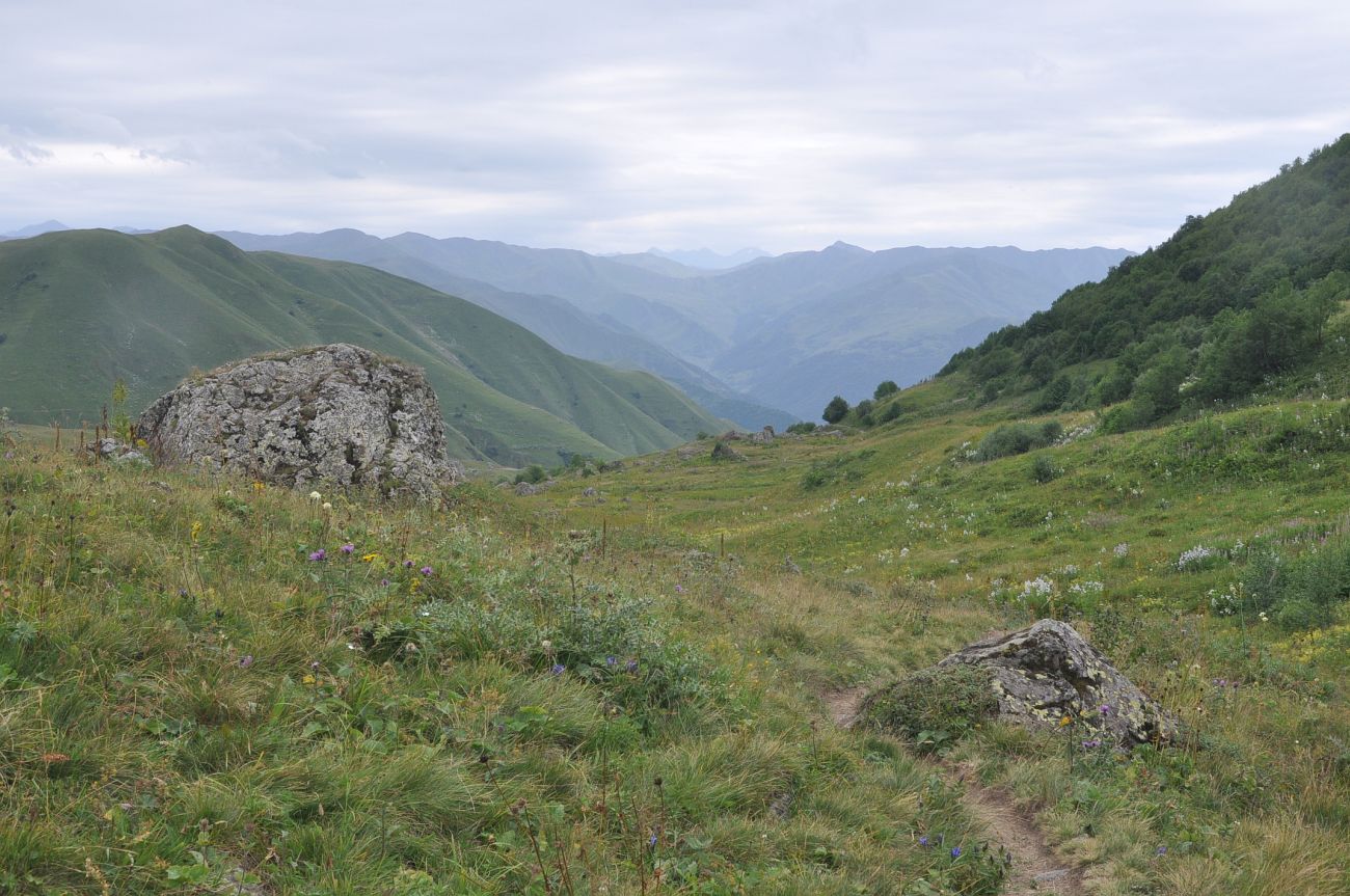 Долина реки Вулелаури, image of landscape/habitat.