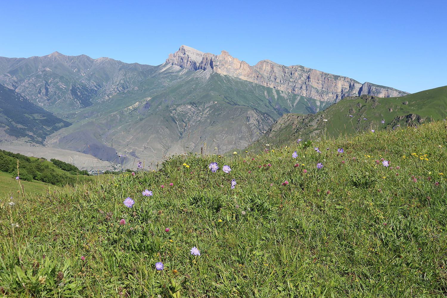 Айдарука-Цырт, image of landscape/habitat.