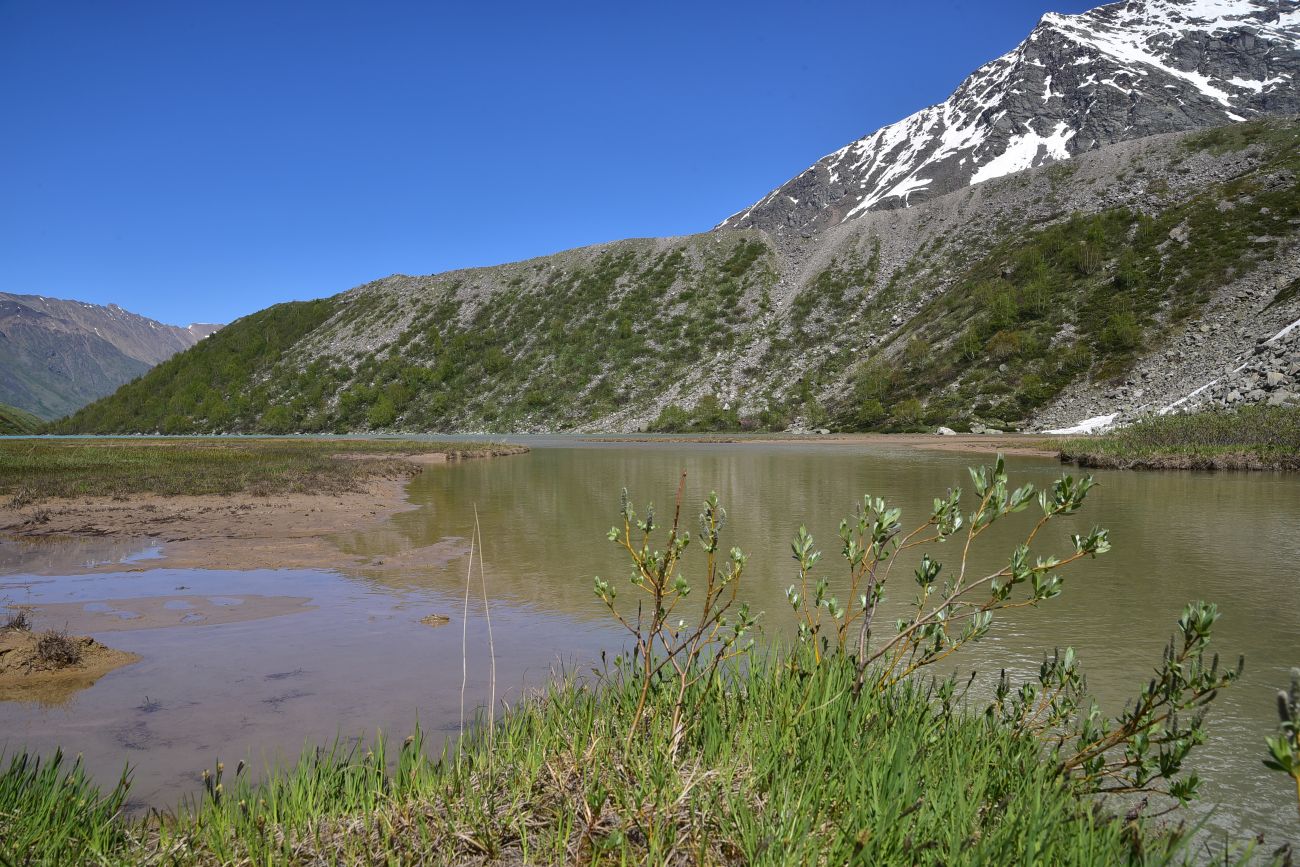 Окрестности озера Донгуз-Орун, изображение ландшафта.