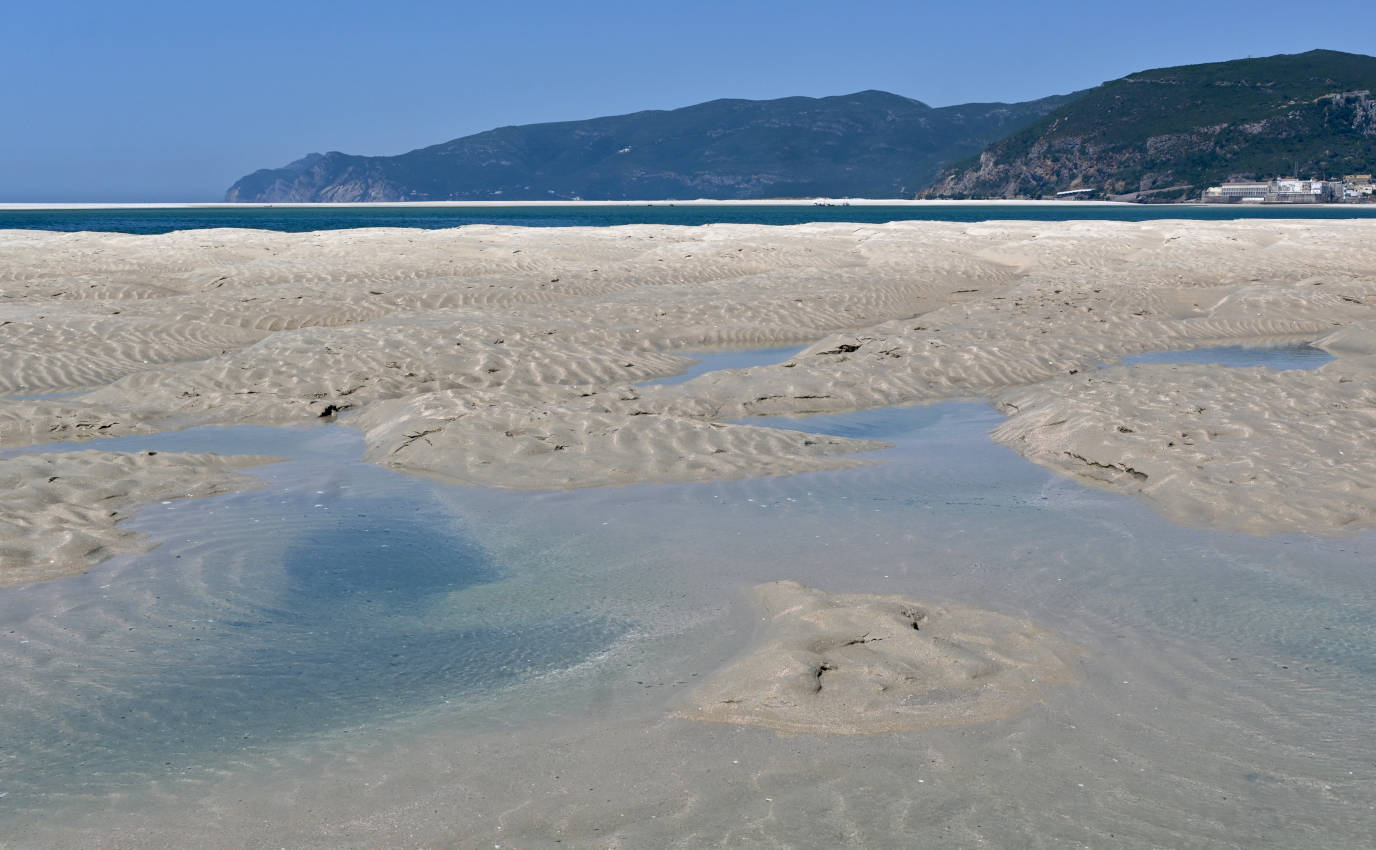 Полуостров Троя, image of landscape/habitat.