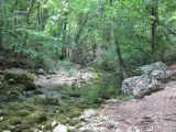 Image of landscape