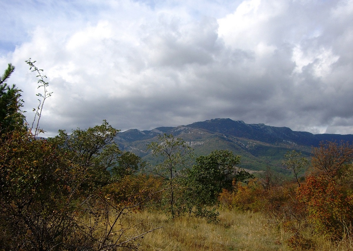 Малореченское и окрестности, image of landscape/habitat.