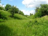 Урочище Аян, image of landscape/habitat.