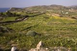 Image of landscape