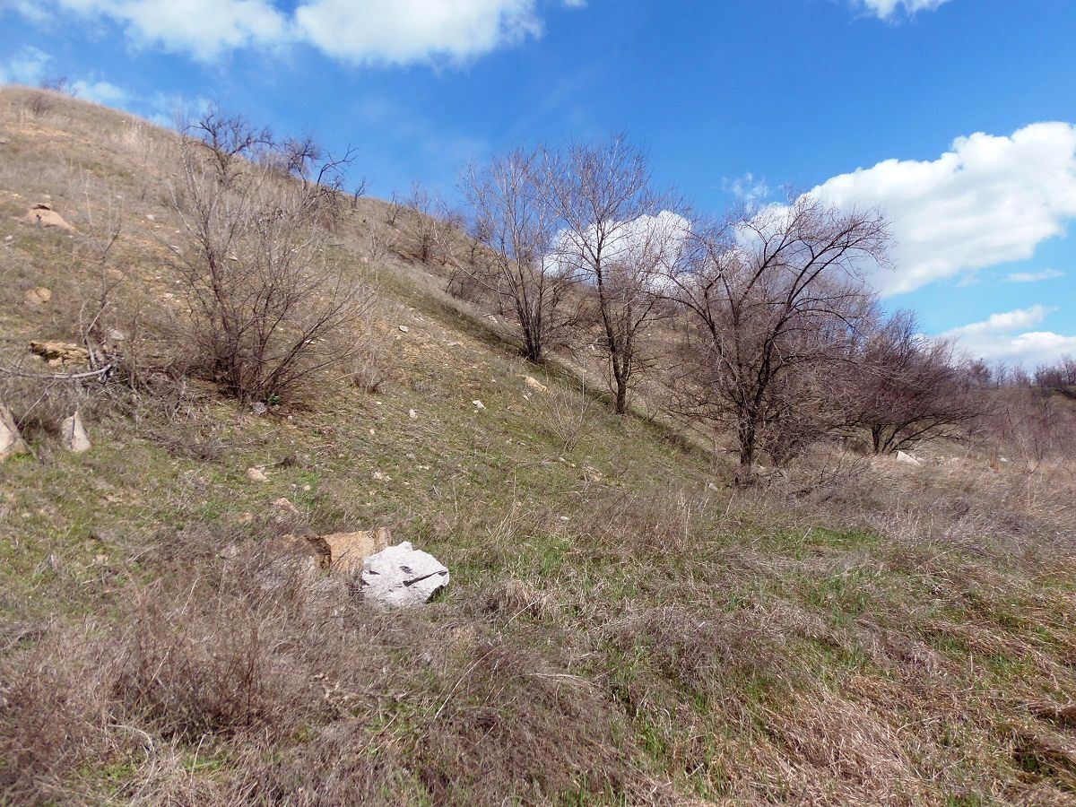 Долина Мокрой Московки, image of landscape/habitat.
