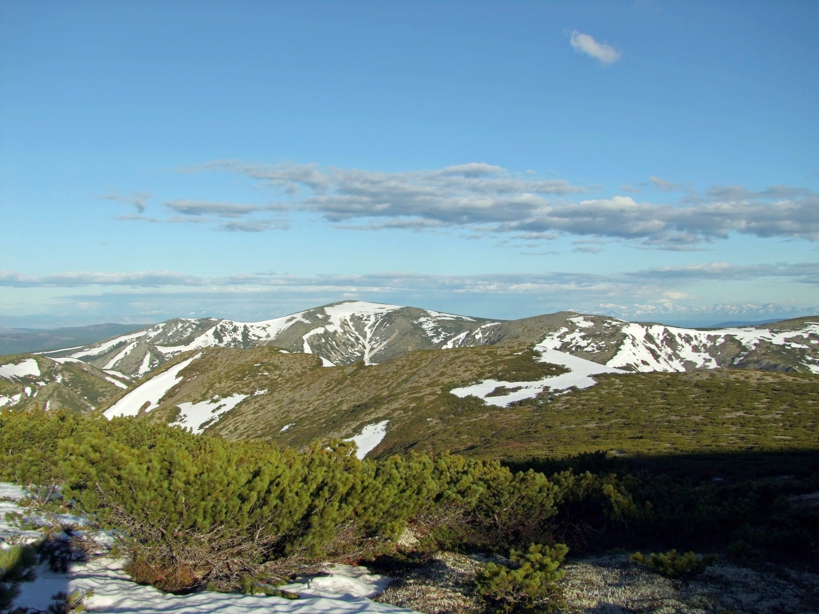 Водораздел Дукчи и Омчика, image of landscape/habitat.