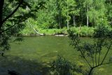 Алеев ключ, image of landscape/habitat.