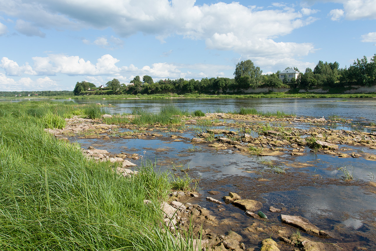 Выбуты, image of landscape/habitat.