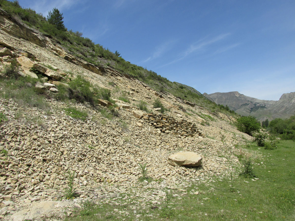 Цудахар (Горный ботсад и рядом), изображение ландшафта.