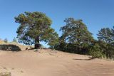 Image of landscape