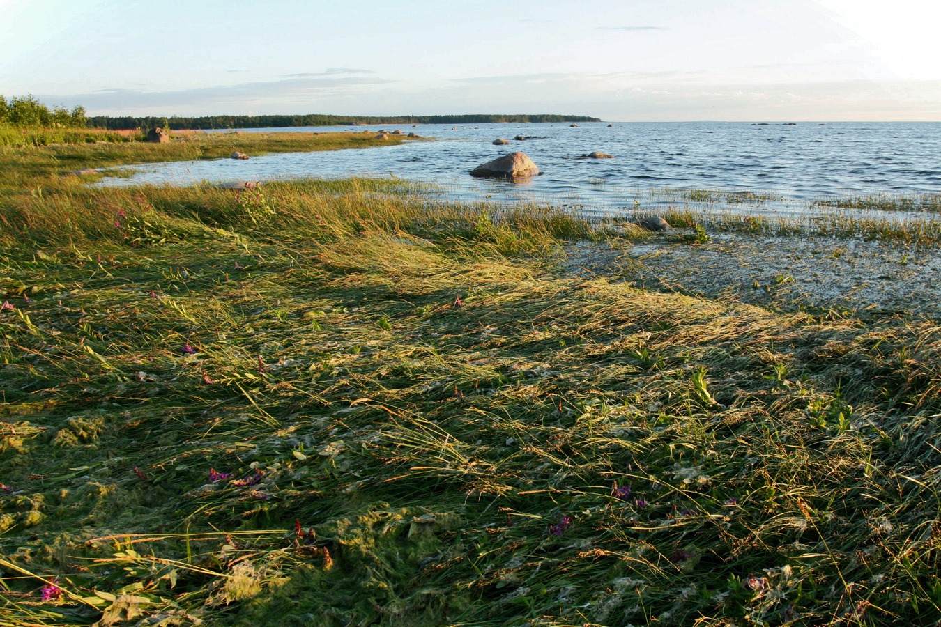 Каравалдай, image of landscape/habitat.