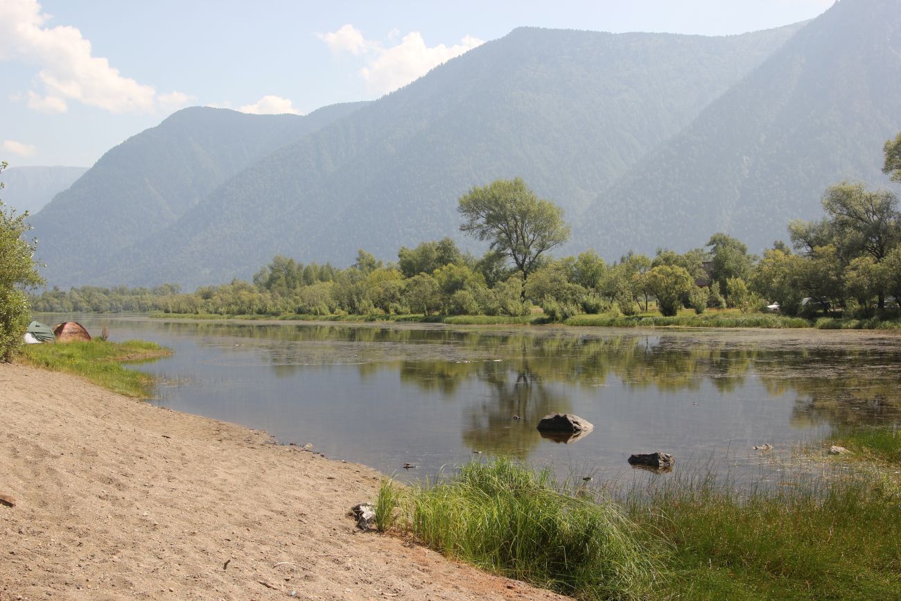 Мыс Кырсай, image of landscape/habitat.