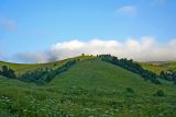 Верхняя Цица, image of landscape/habitat.