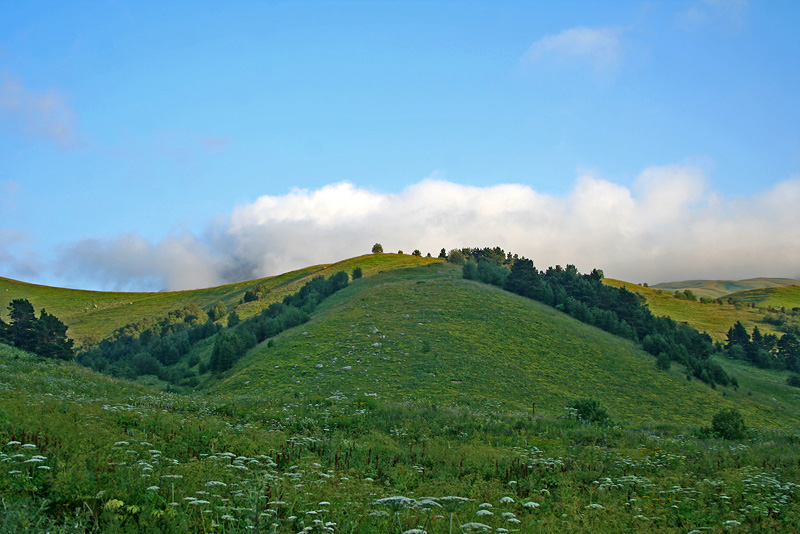 Верхняя Цица, image of landscape/habitat.