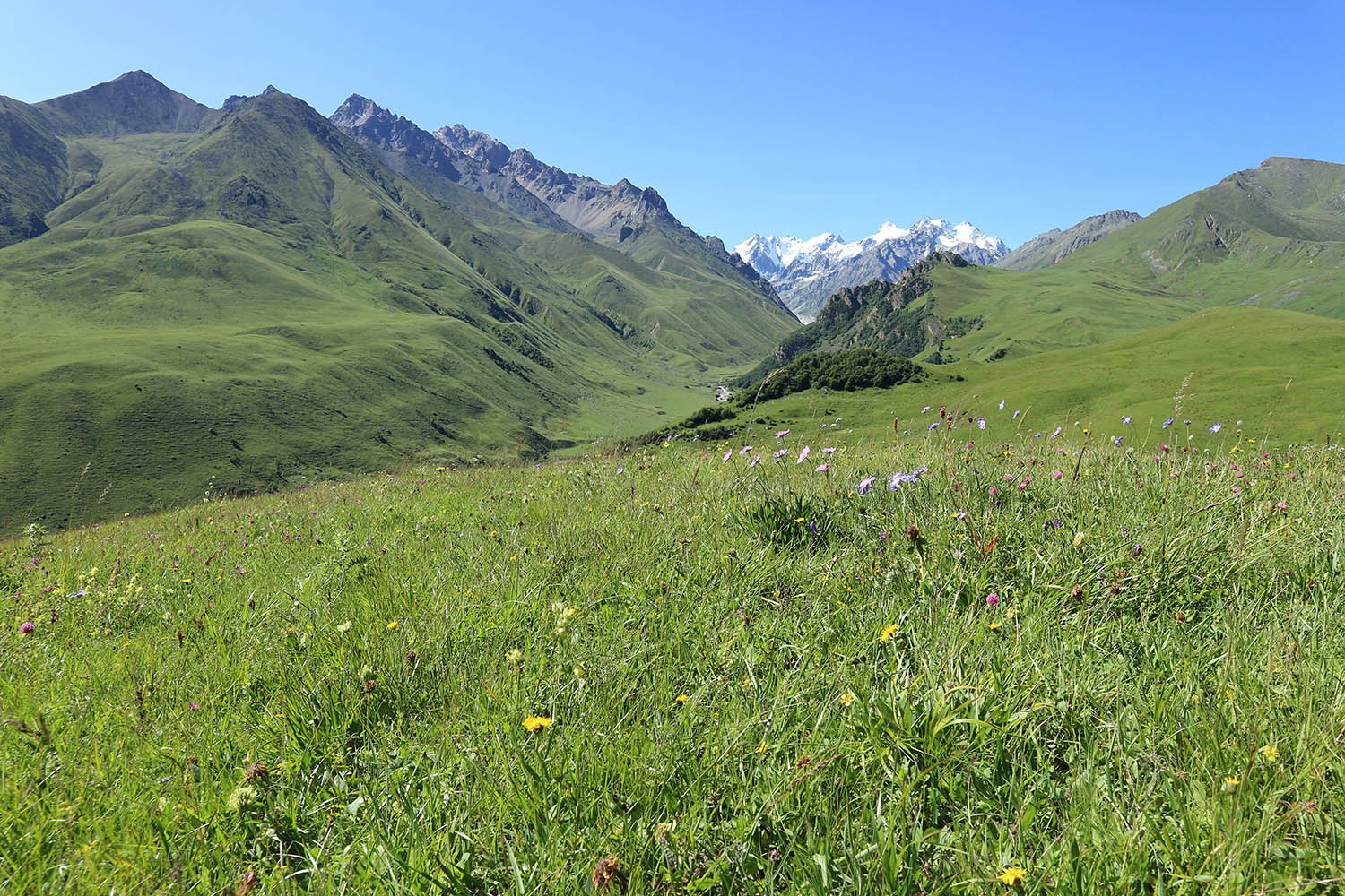 Айдарука-Цырт, image of landscape/habitat.