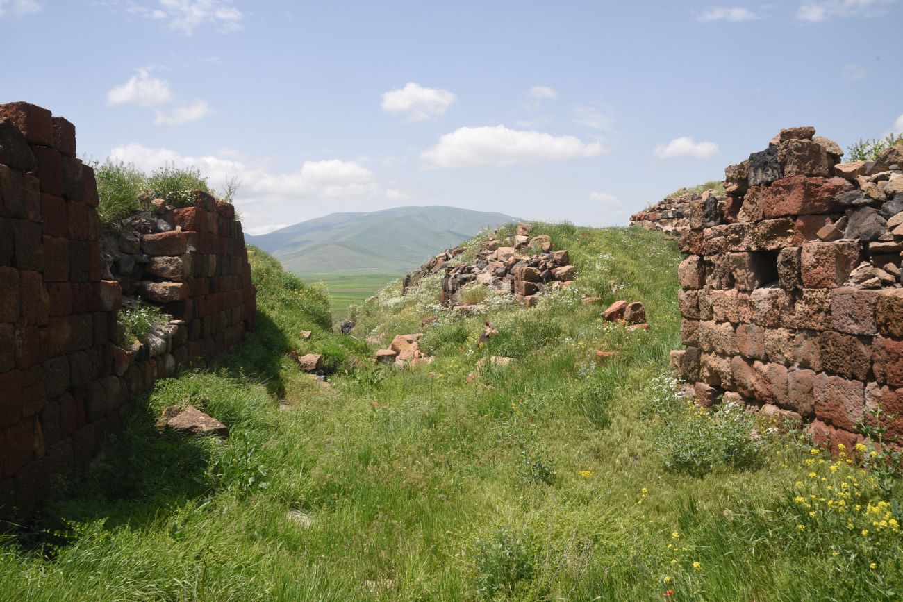 Окрестности бывшего города Ани, image of landscape/habitat.