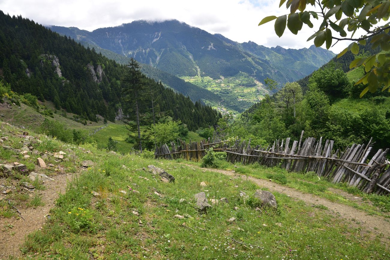 Кашикли, image of landscape/habitat.