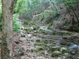 Большой каньон Крыма, image of landscape/habitat.