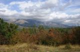Image of landscape