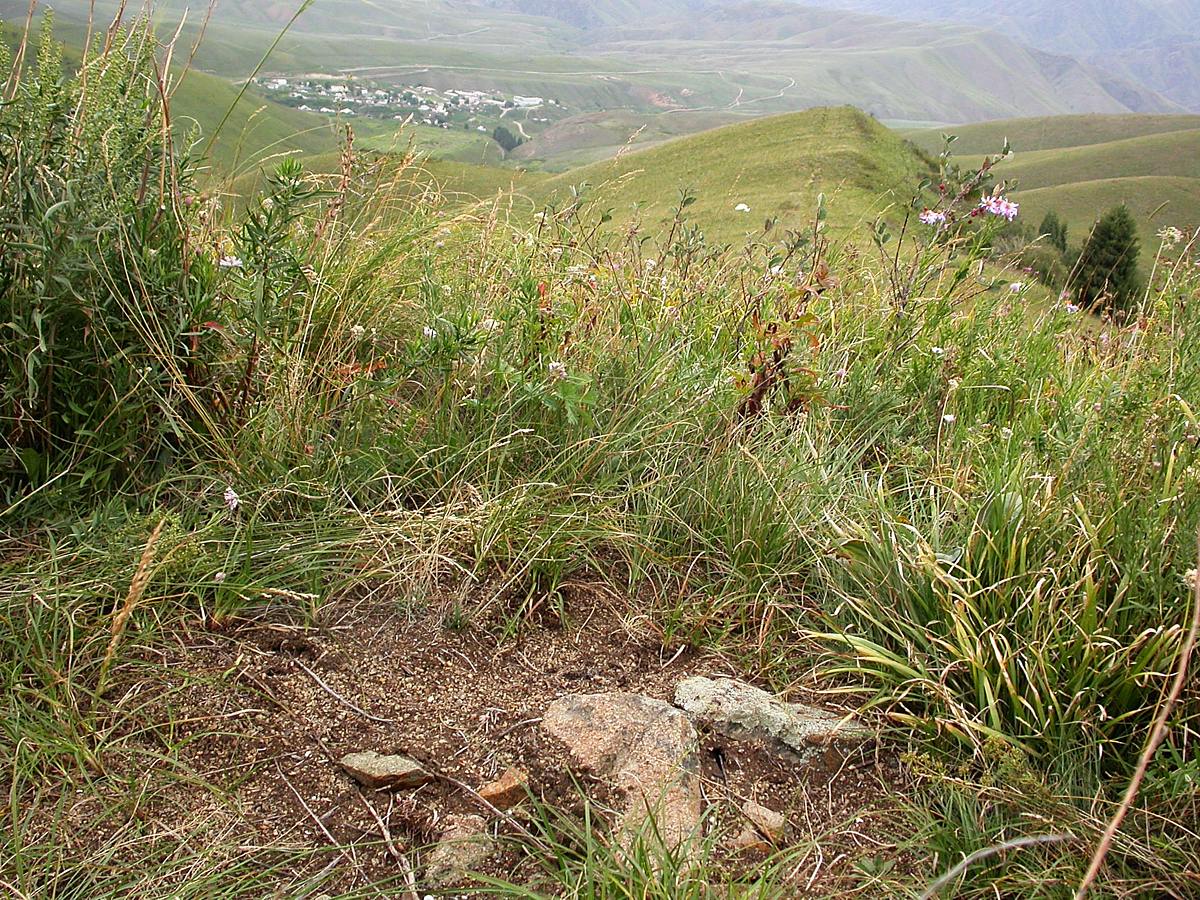 Туюк, image of landscape/habitat.
