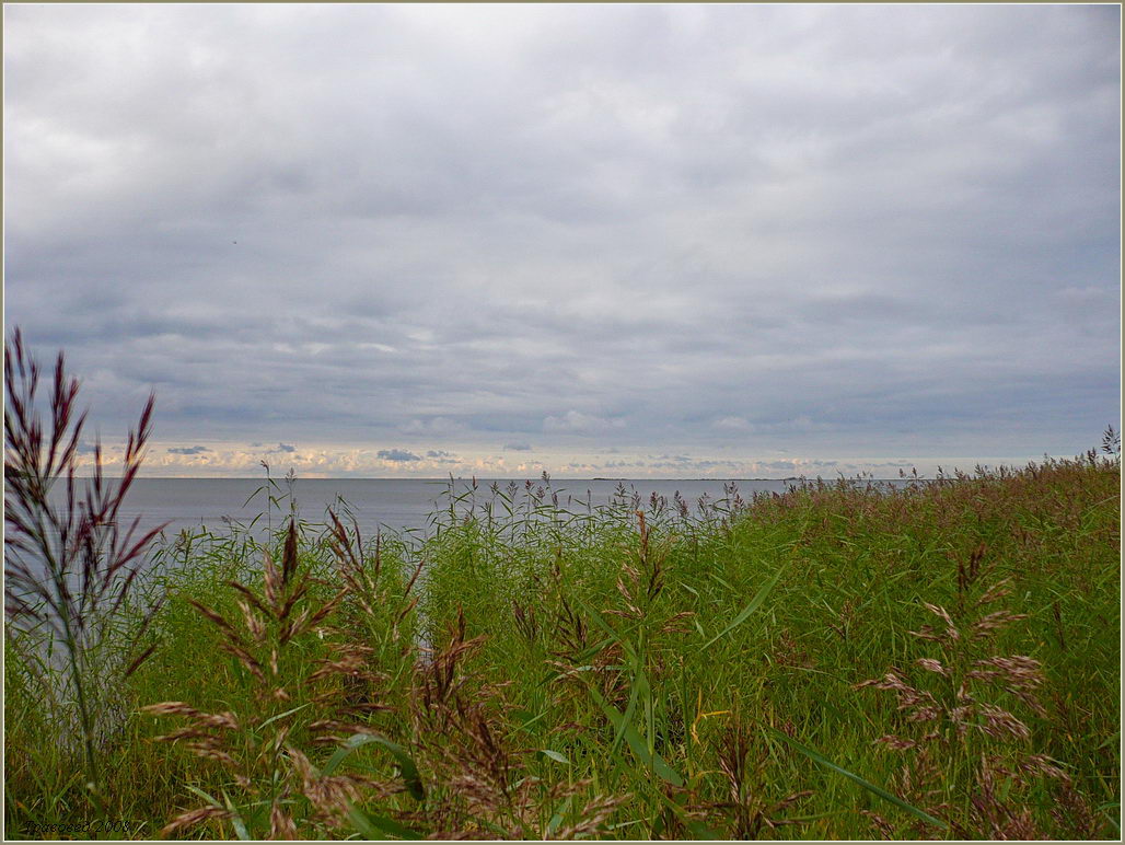 Экопоселение "Ясное", image of landscape/habitat.