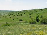 Image of landscape