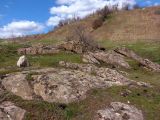 Долина Мокрой Московки, image of landscape/habitat.