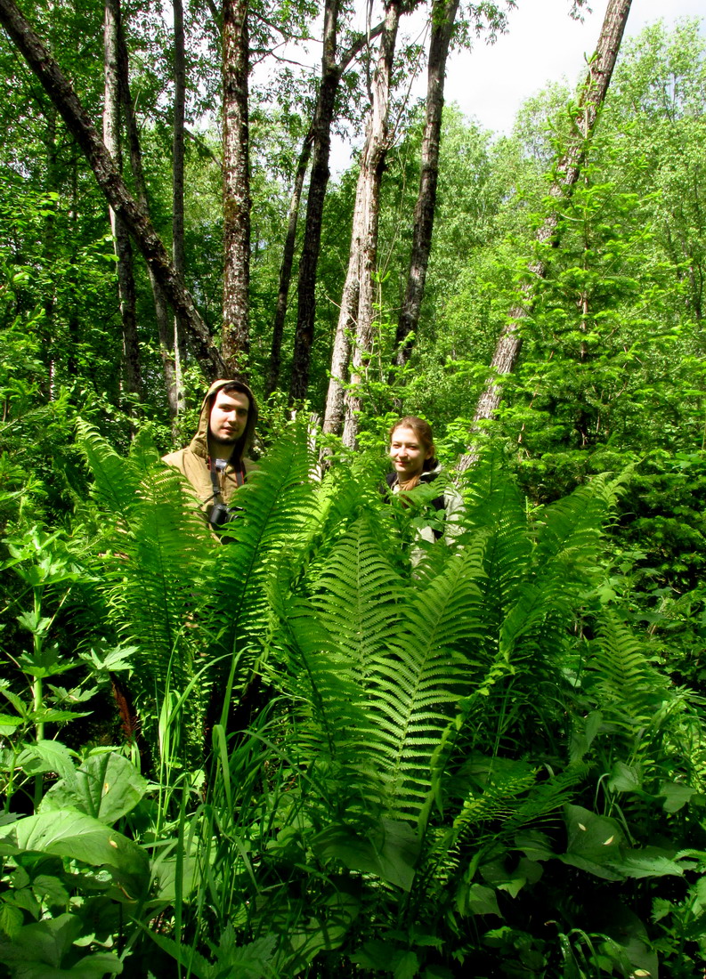 Алеев ключ, image of landscape/habitat.